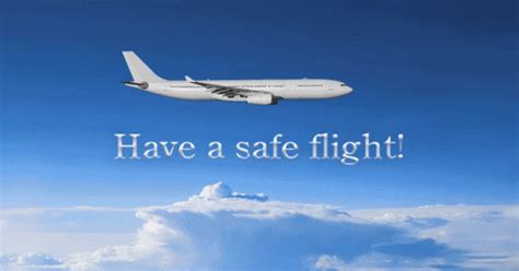 safe flight gif